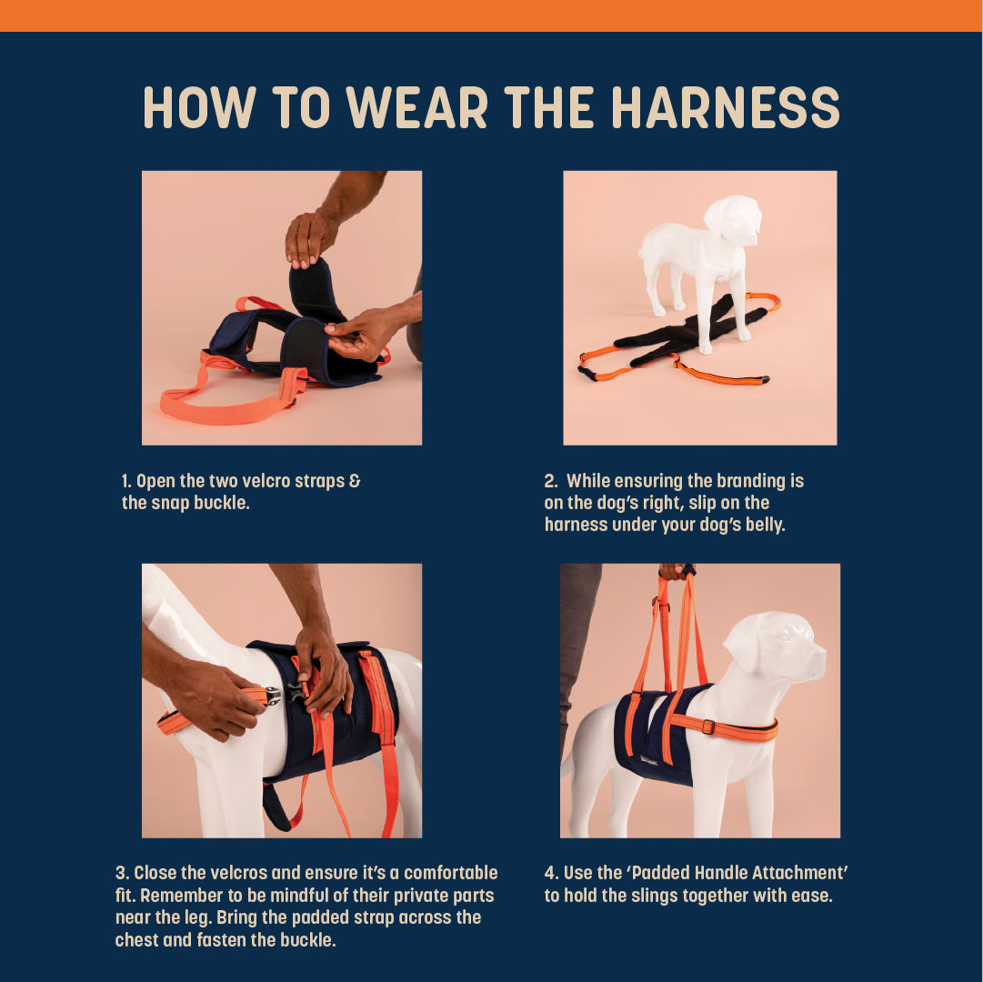 HUFT Trooper Mid-Body (Belly) Support Lift Harness For Dogs - Navy Blue-As requested by Harneet - Heads Up For Tails