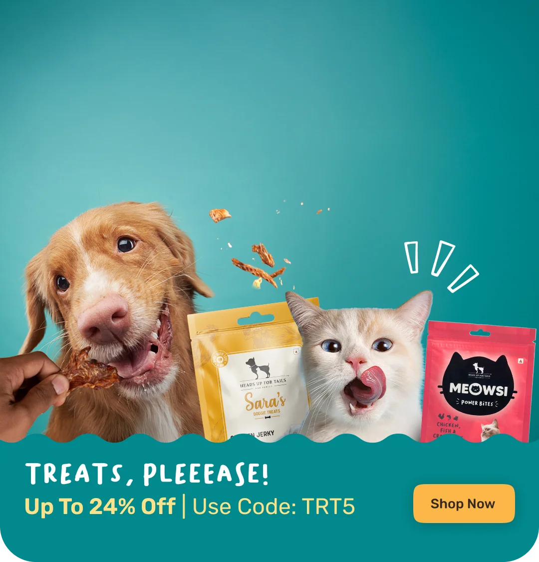Treats for dogs & cats