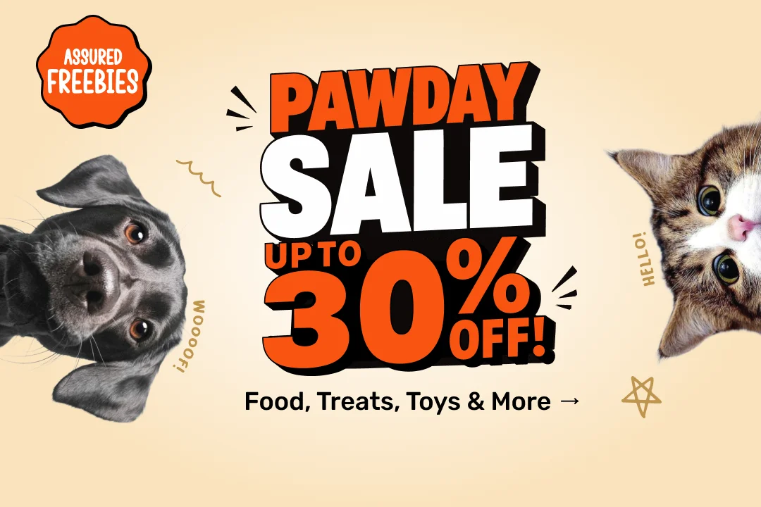 Pay Day Sale
