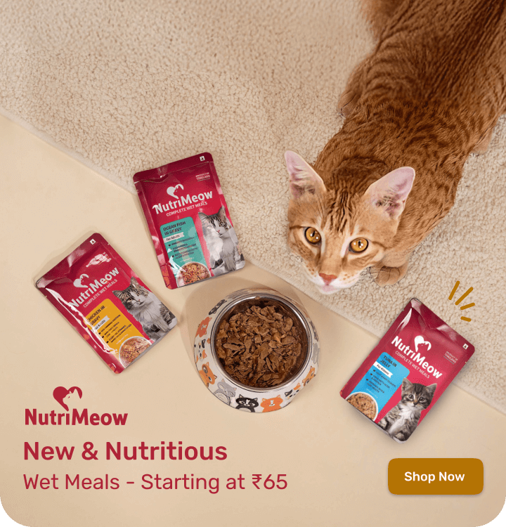 NutriMeow