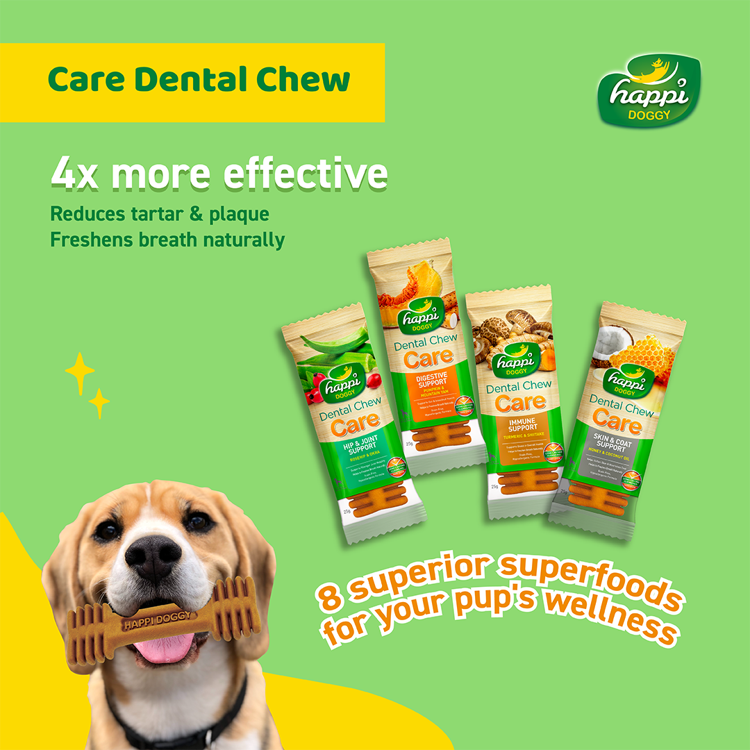 Happi Doggy Vegetarian Dental Chew - Care (Hip & Joint Support) Rosehip & Okra - Petite - 2.5 inch - 150 g - 18 Pieces-10