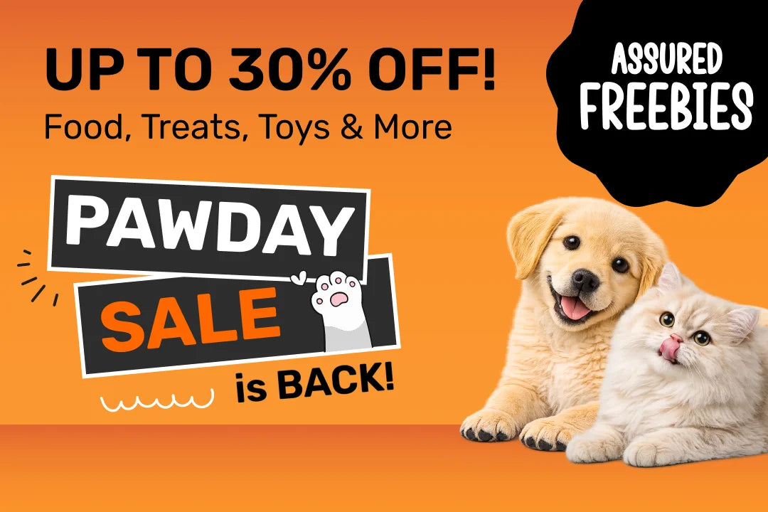 HUFT Pay Day Sale