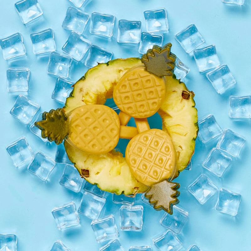 Pup Ice Fruity Lollies Pineapple Ready To Freeze Treat For Adult Dog - 90 gm - Heads Up For Tails