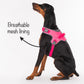 HUFT Easy On Dog Harness - Pink - Heads Up For Tails