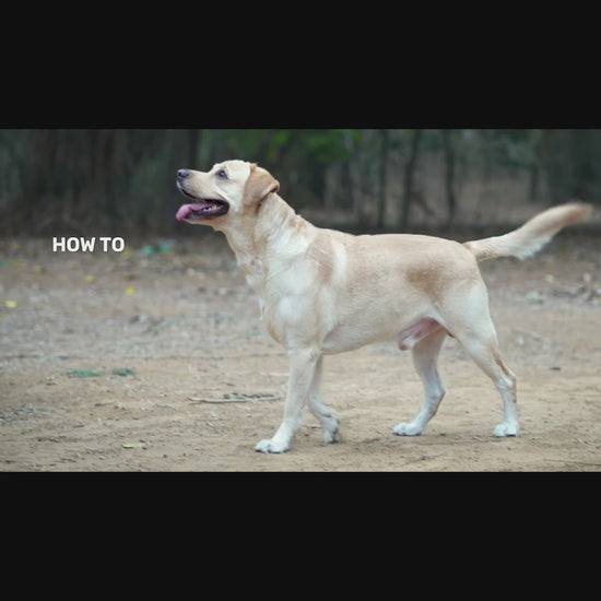 Easy Walk