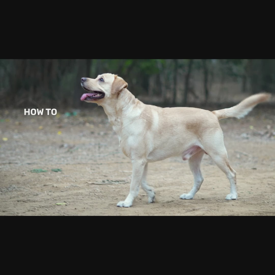 Easy Walk