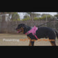 HUFT Easy On Dog Harness - Pink