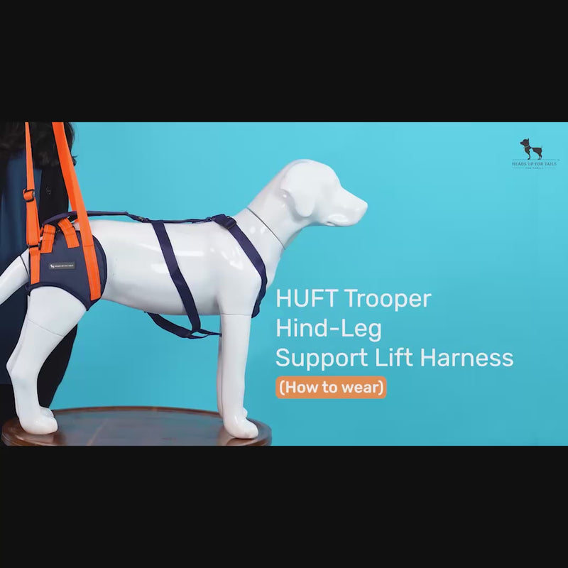 HUFT Trooper Hind Leg Support Lift Harness For Dogs - Navy Blue - Set Of 2