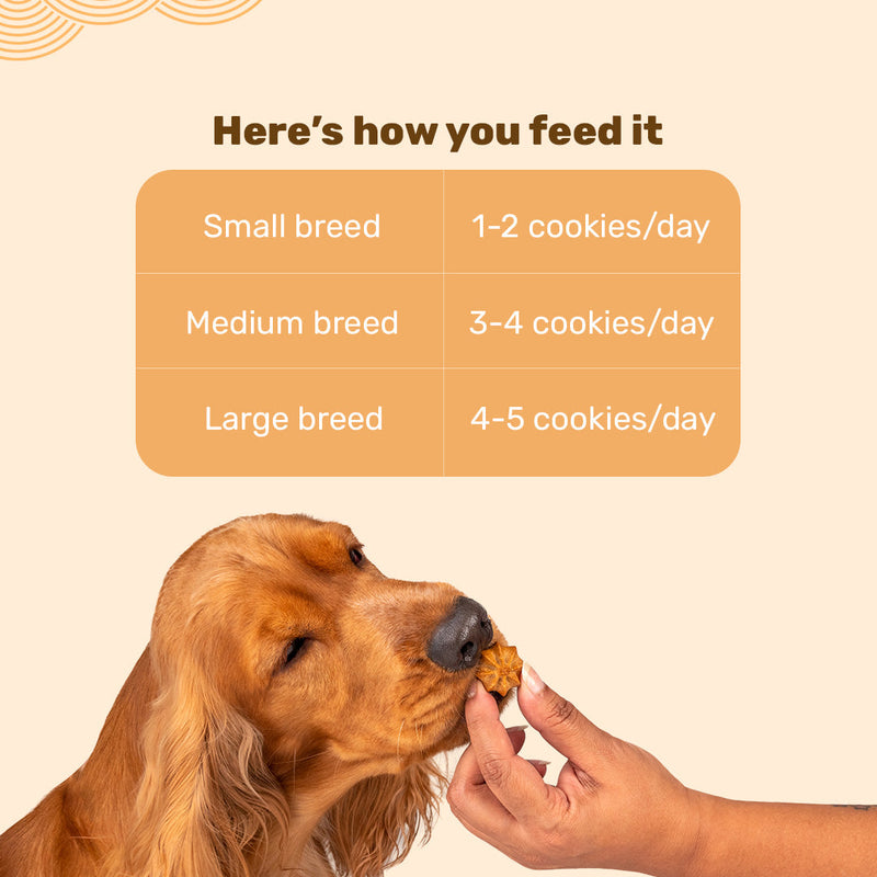 HUFT All In One Goat Milk Cookies Combo - 200g Each - Heads Up For Tails