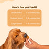 HUFT Goat Milk Dog Cookie Combo - Apple & Pumpkin - 200g Each - Heads Up For Tails
