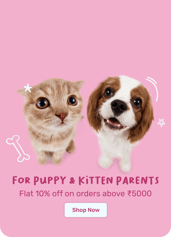 Puppy & Kitten Sale
