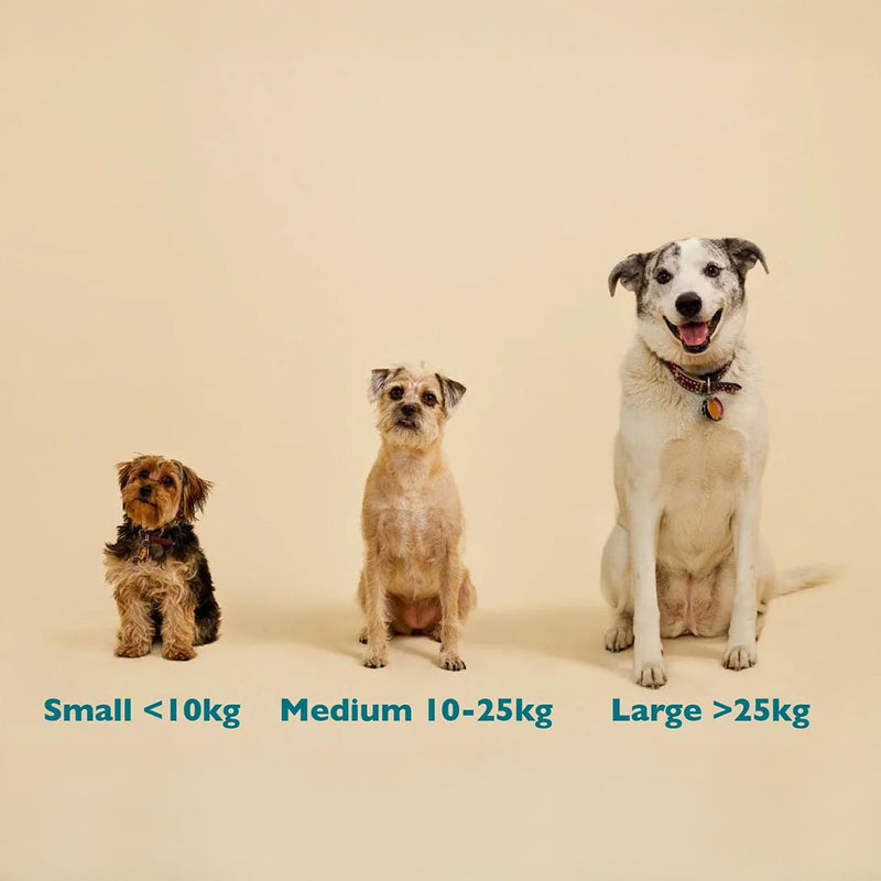 Qurist CBD Oil For Small Dog (Below 10 kg) - 450 mg - 30 ml - Heads Up For Tails