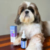 Qurist CBD Oil For Small Dog (Below 10 kg) - 450 mg - 30 ml - Heads Up For Tails