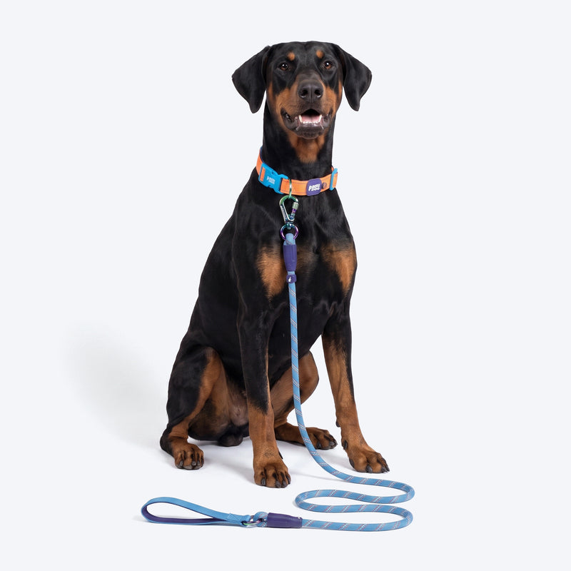 Dash Dog Chaser Rope Leash For Dog - Royal Blue