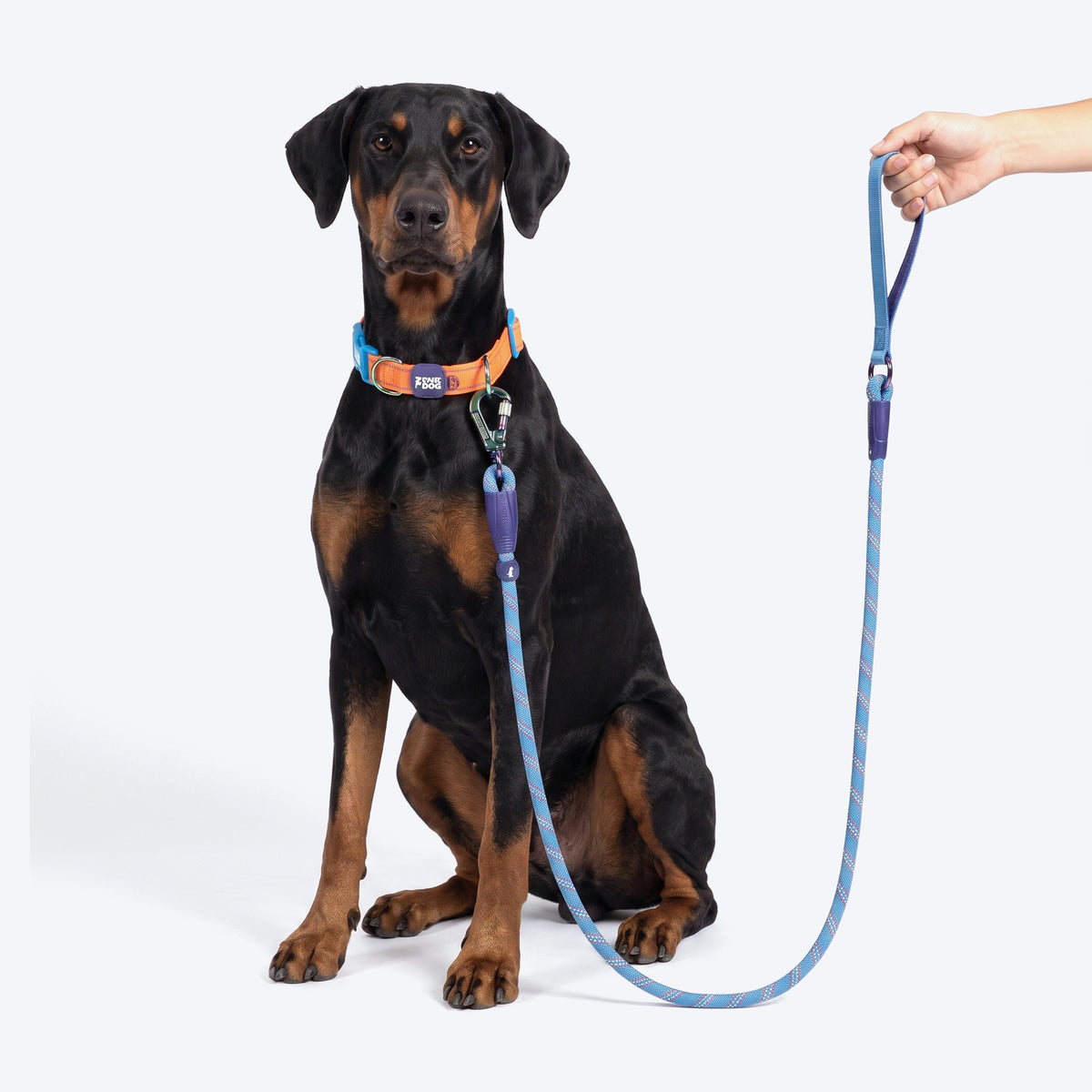 Dash Dog Chaser Rope Leash For Dog - Blue