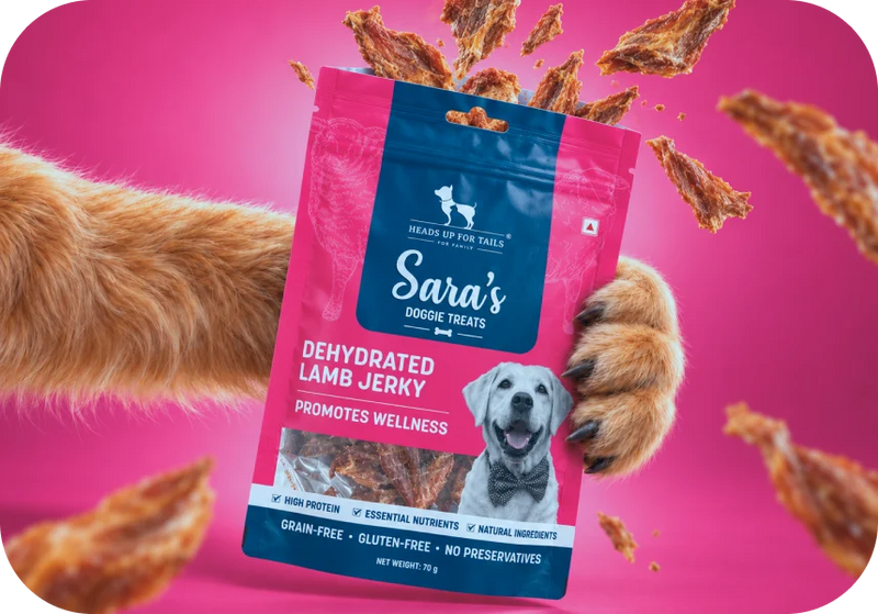Shop Sara's Treats →