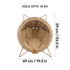 HUFT Feline Rest Chair With Cushion For Cat - Brown
