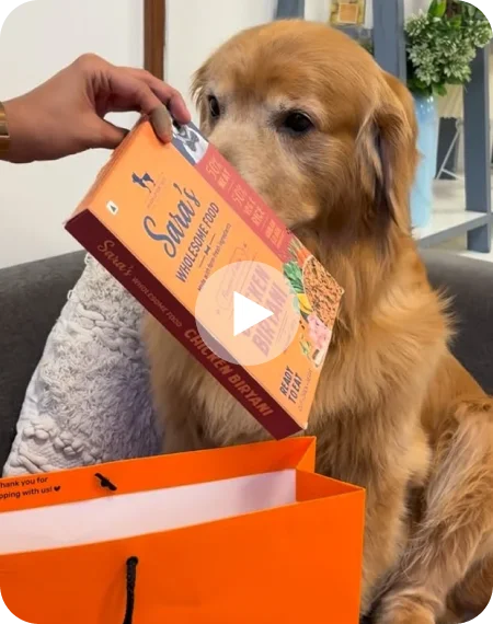 Every shopping has to be approved by them!