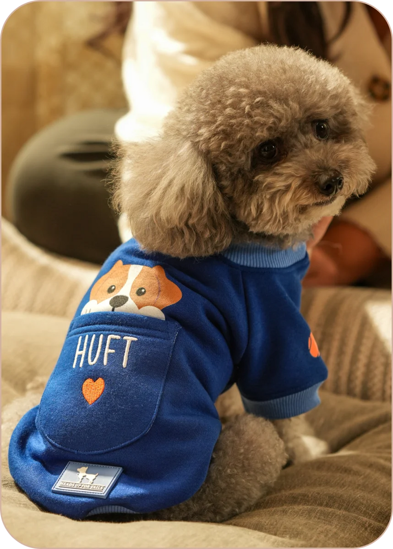 Shop Sweatshirts →