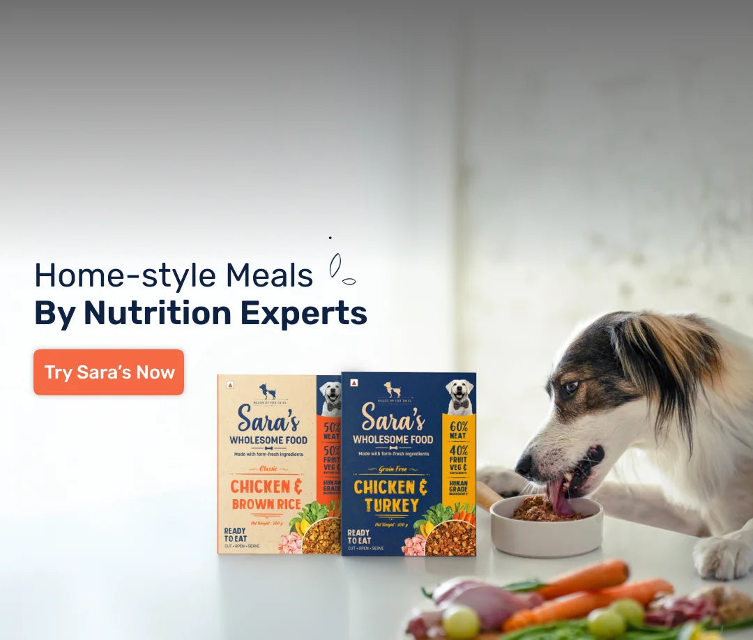 Sara's Wholesome Food