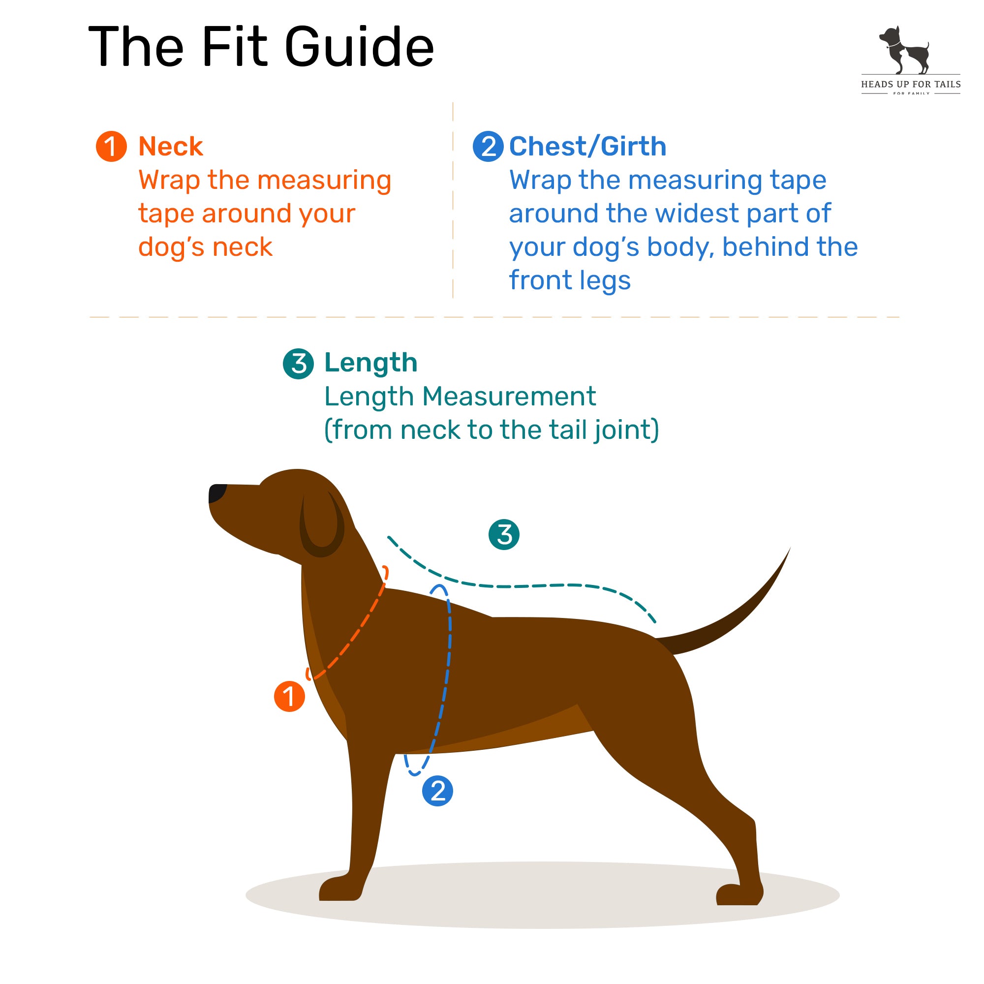 Easy walk harness clearance measurements