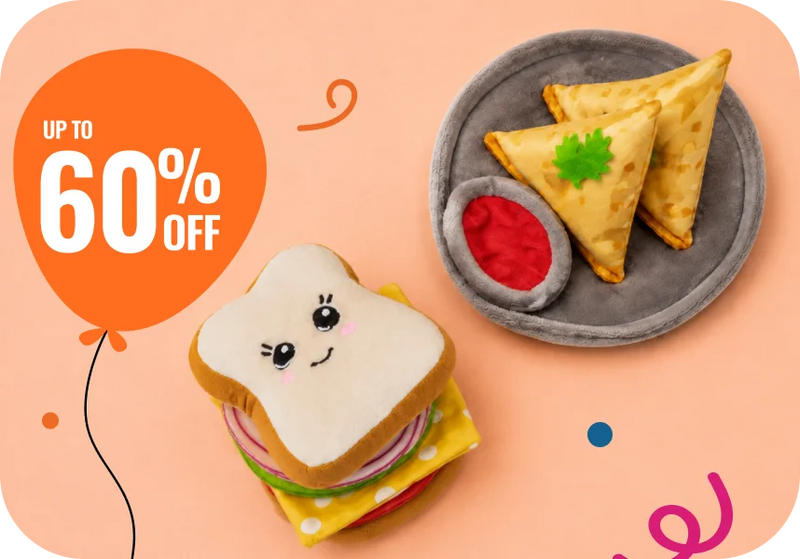 Shop Toys →