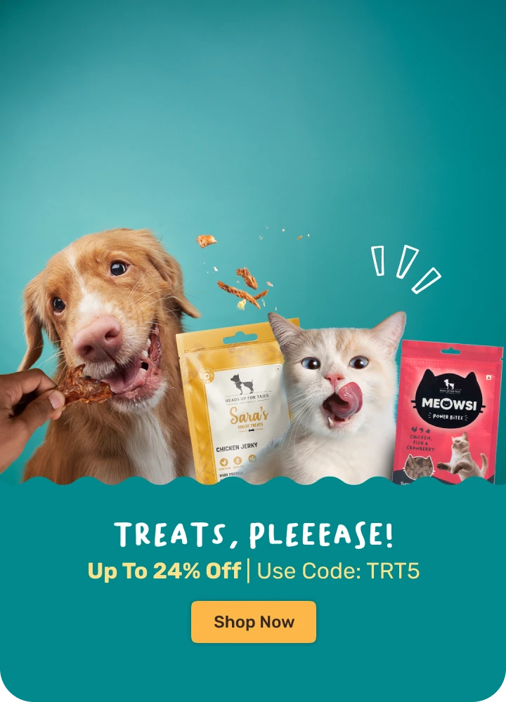 Treats for dogs & cats
