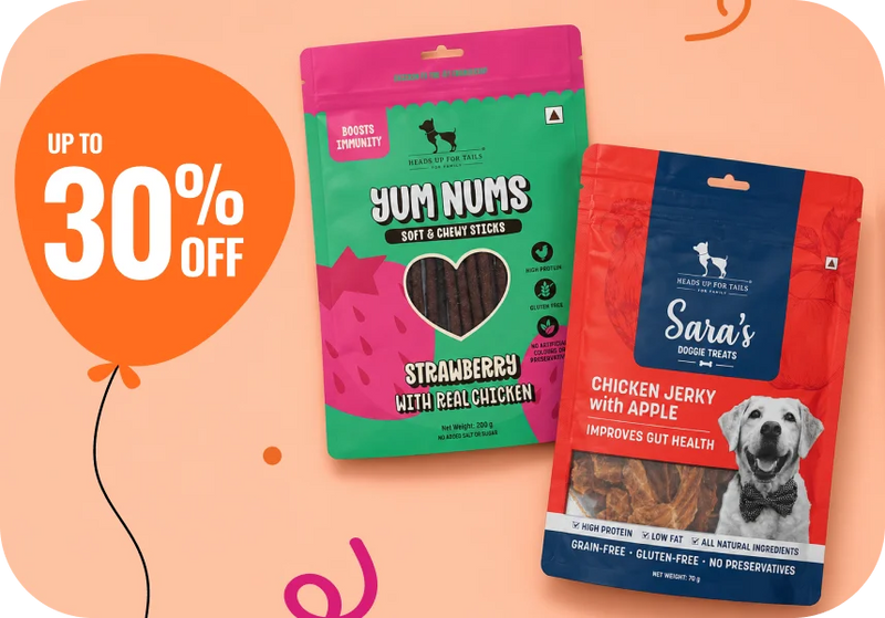 Shop Treats →