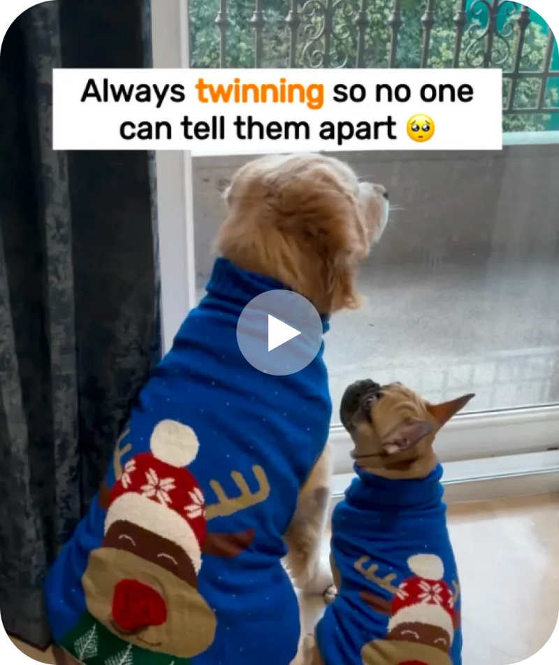 Siblings twin, always!