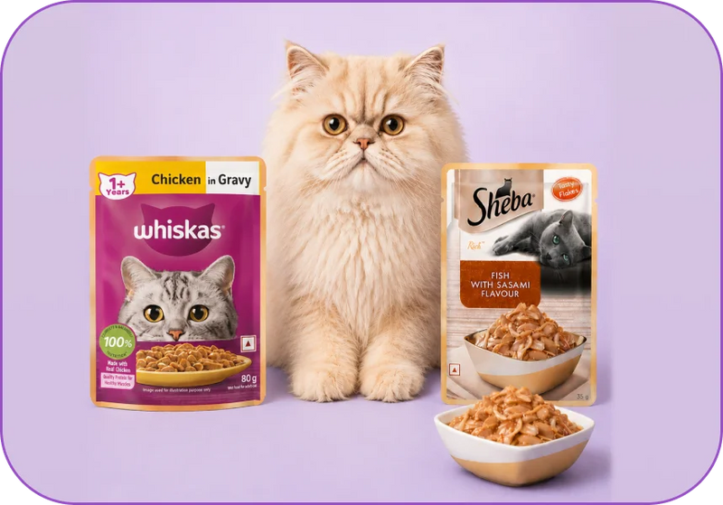 Cat Wet Food