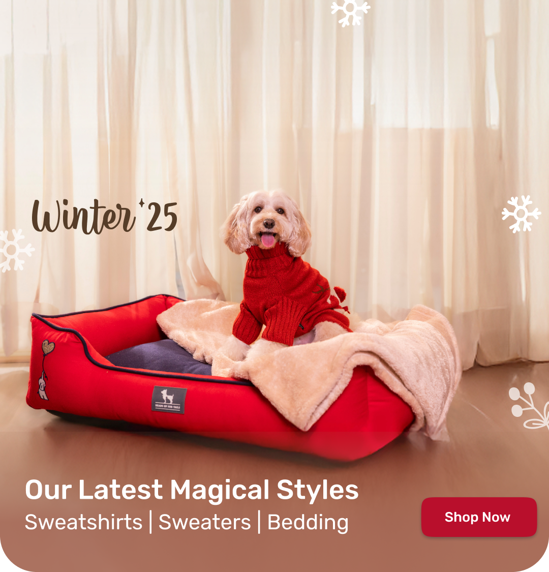 Winter Collection