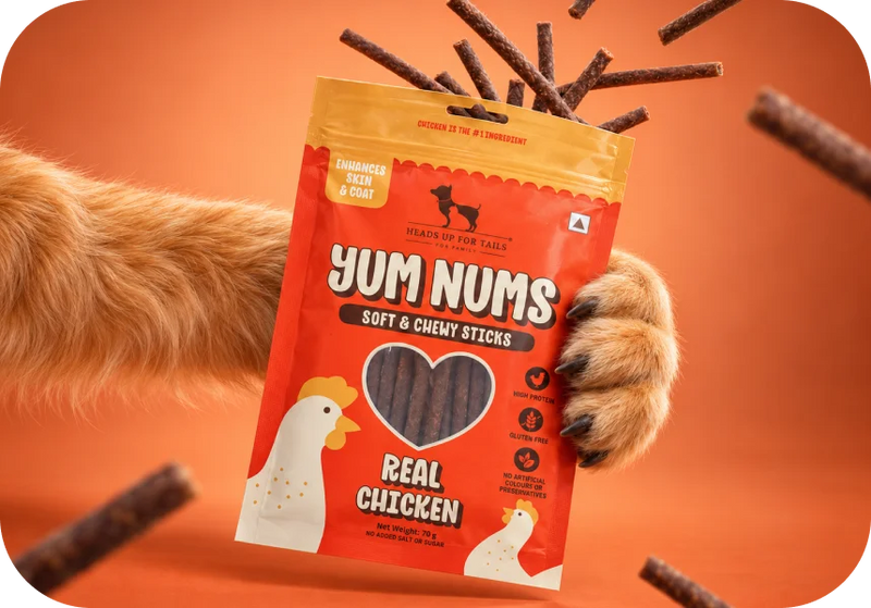Shop Yum Nums →