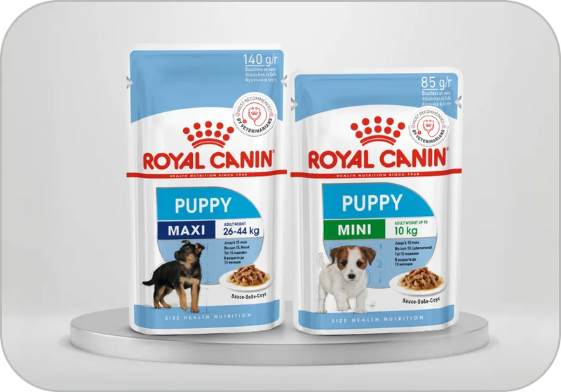 Puppy Food →