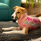 HUFT Argyle Warm Touch Dog Sweater - Pink-1