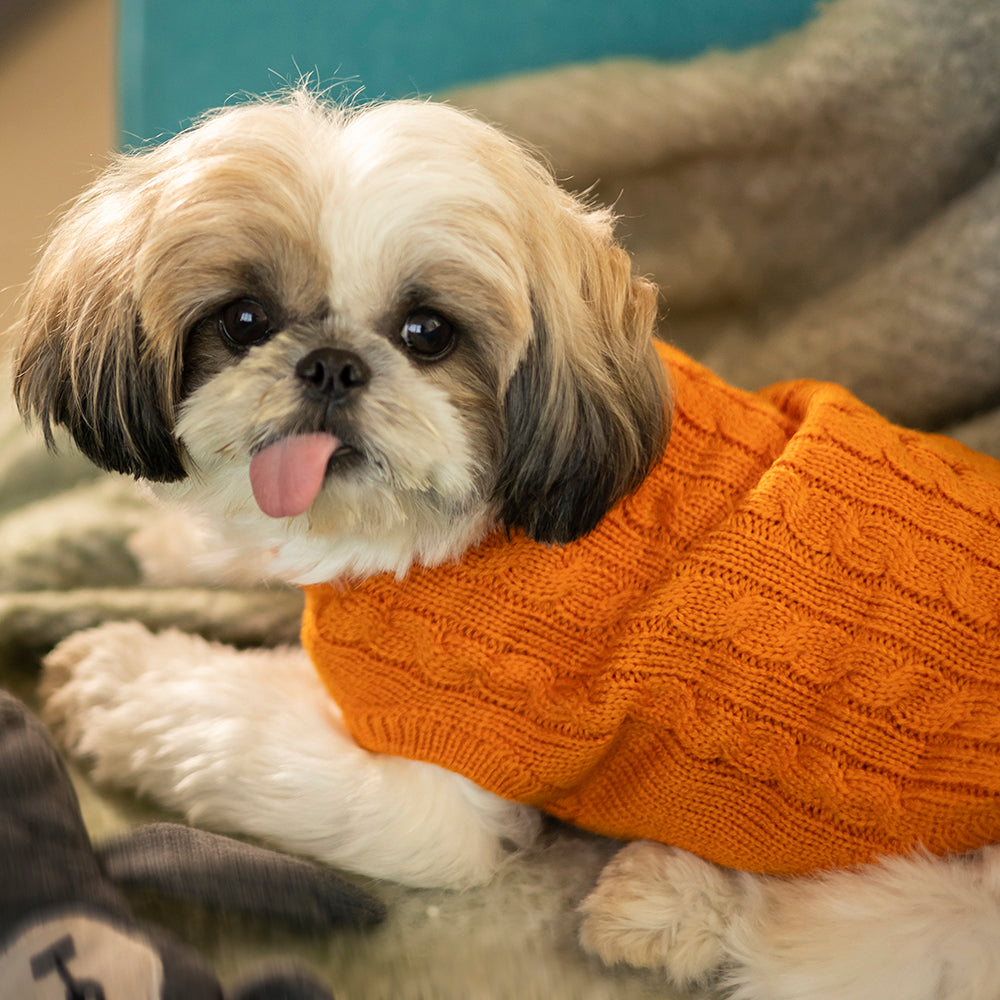 HUFT Cable Knit Dog Sweater - Orange-1