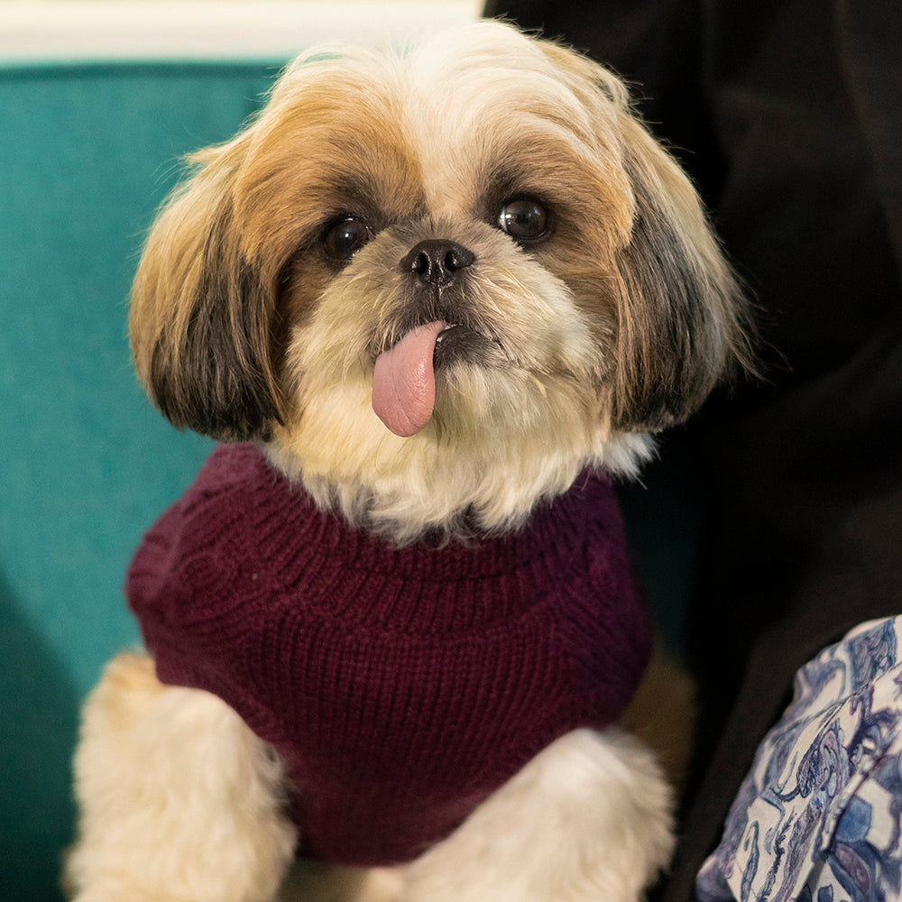 HUFT Cable Knit Dog Sweater - Mauve-1
