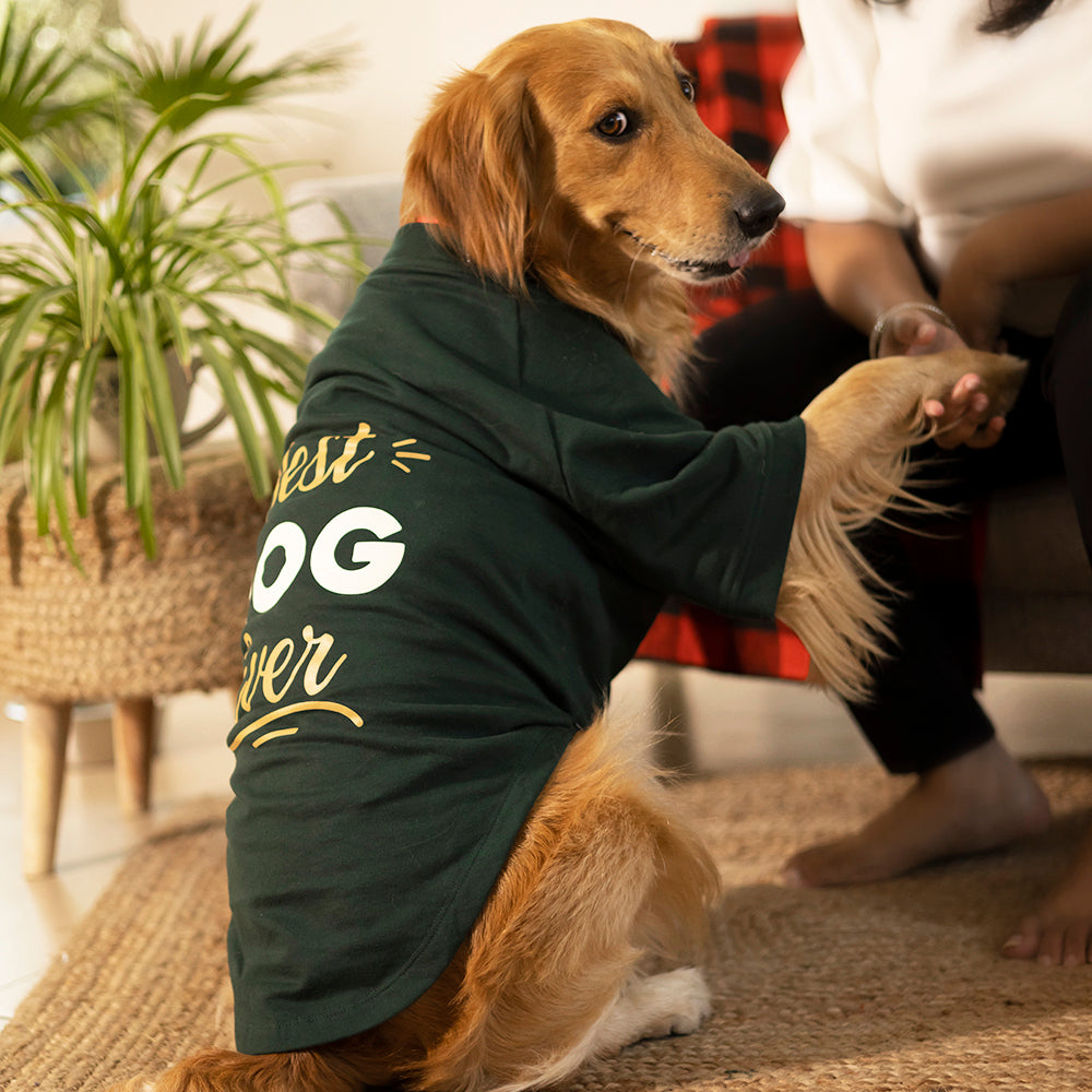 HUFT Fleece Dog Sweatshirt - Dark Green6