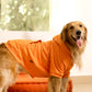HUFT Dog Sweatshirt - Orange-4
