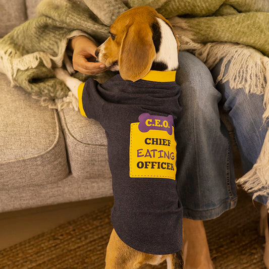 HUFT CEO Sweatshirt For Dogs - Blue Melange-1