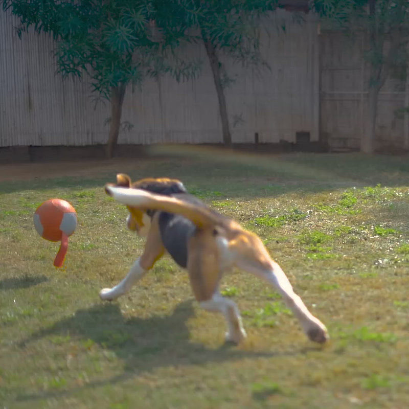 HUFT Quintessential Rubber Football For Dog