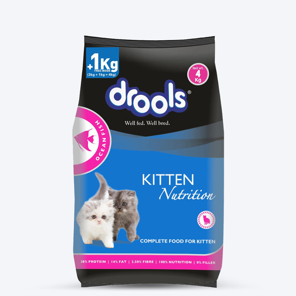 Drools Ocean Fish Cat Food For Kitten - Heads Up For Tails