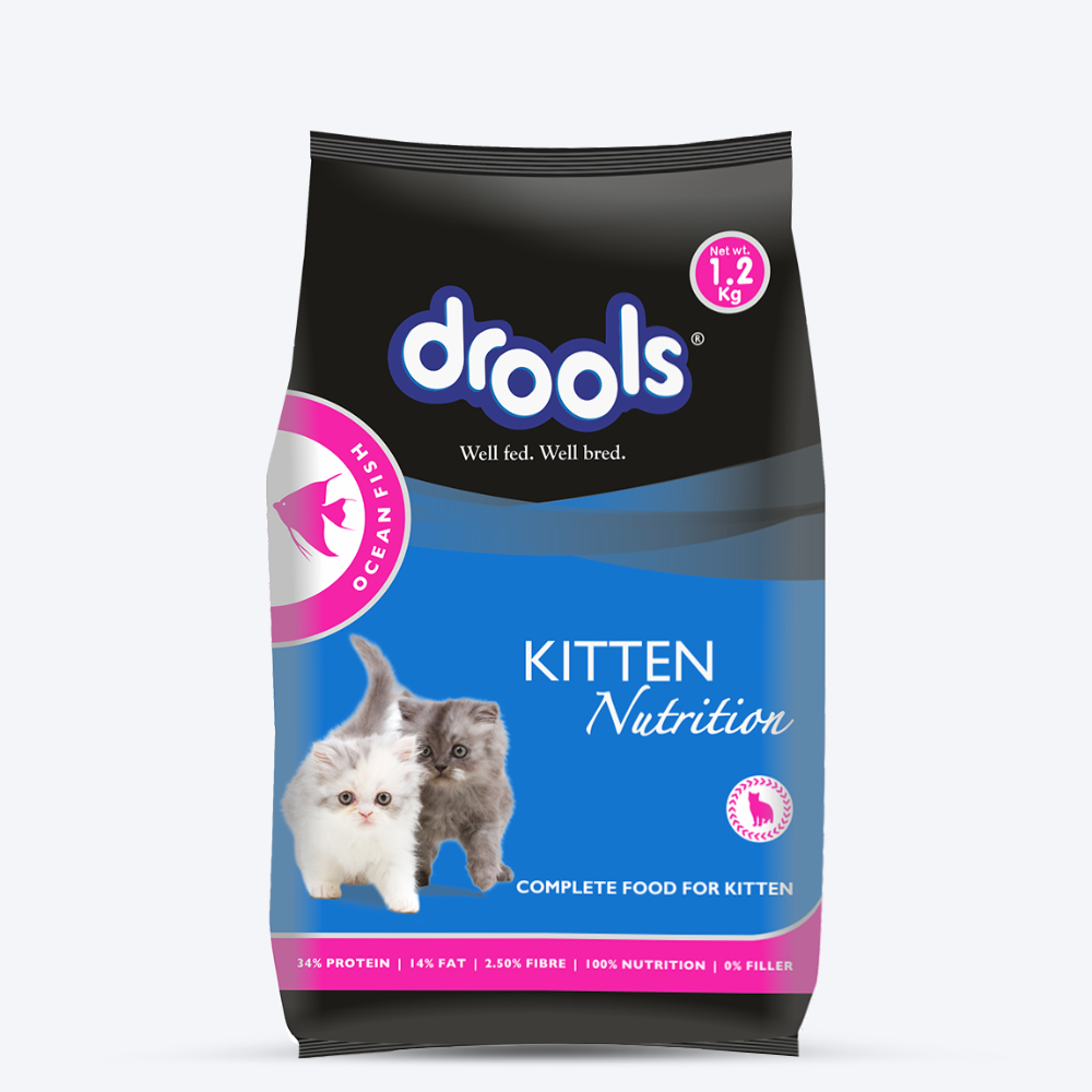 Drools Ocean Fish Cat Food For Kitten - Heads Up For Tails