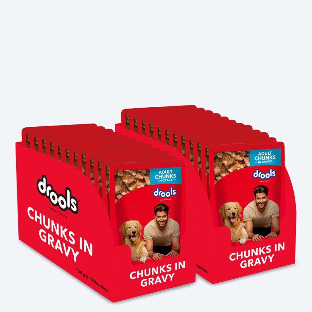 Drools Real Chicken and Chicken Liver Chunks in Gravy Adult Wet Dog Food - 150 g Packs