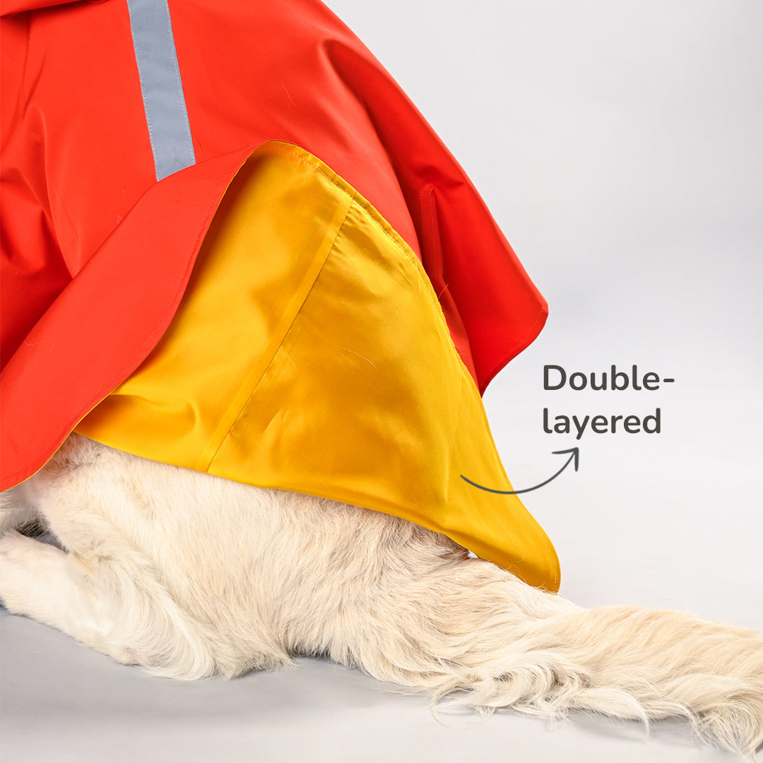 HUFT Raining Champ Dog Raincoat - Heads Up For Tails