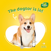 Happi Doggy Vegetarian Dental Chew - Zest - Orange - Petite - 2.5 inch - 150 g - 18 Pieces-2