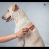 HUFT Flea Comb for Cats & Dogs