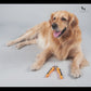 HUFT Nail Cutter for Dogs with Safety Guard