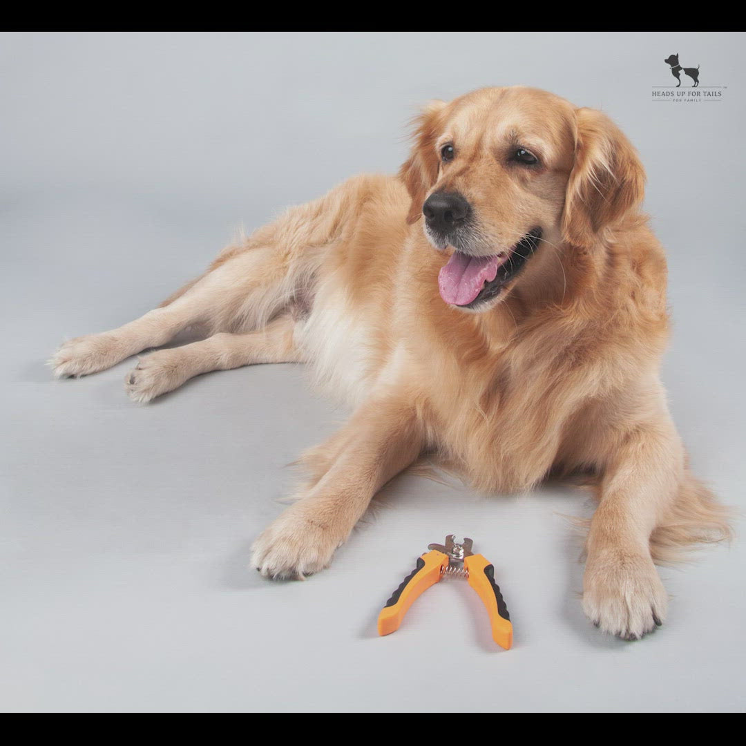 Buy HUFT Nail Cutter for Dogs with Safety Guard Online – Heads Up For Tails