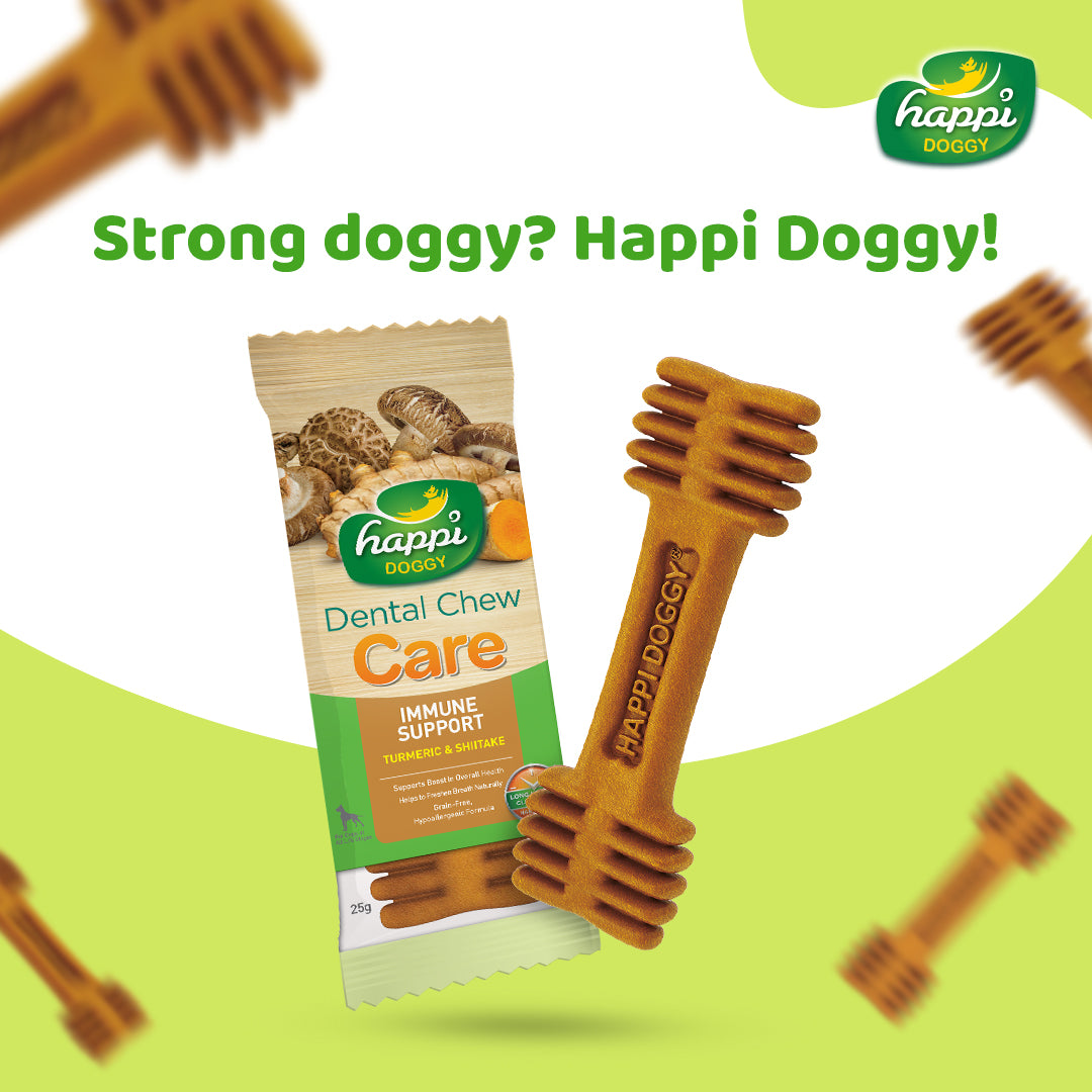 Happi Doggy Dental Chew Care (Immune Support )- Turmeric & Shiitake - Regular 4 inch - 150 g - 6 pieces-2