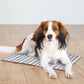 Trixie Cooling Mat For Dogs - White/Grey - 65x50cm-2